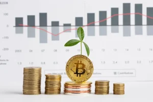 Valour – Easy and innovative digital asset investment platform